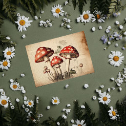 Vintage French Mushroom Page Decoupage Tissue Paper