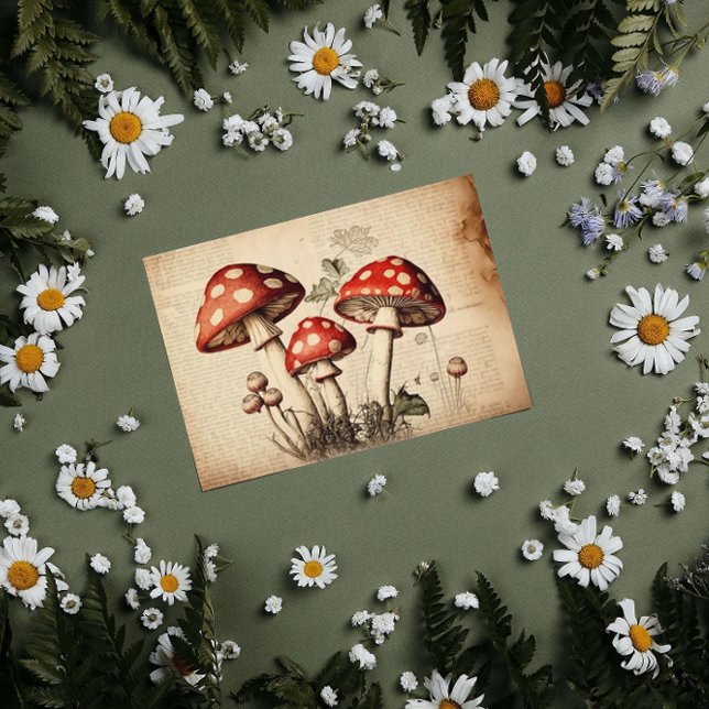 Vintage French Mushroom Page Decoupage Tissue Paper (Creator Uploaded)