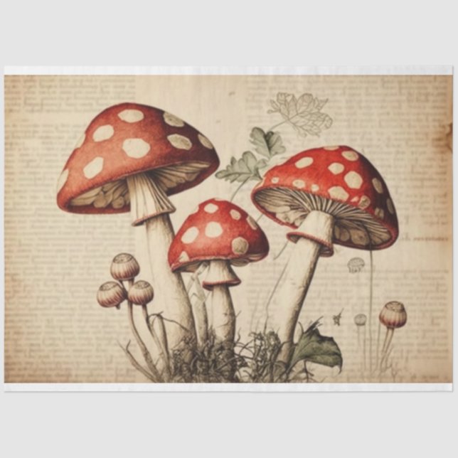 Vintage French Mushroom Page Decoupage Tissue Paper (Front)