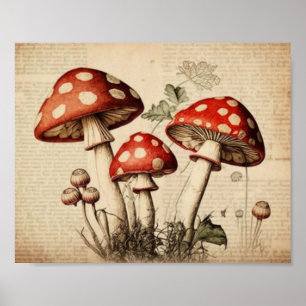 Vintage French Mushroom Page Wall Art