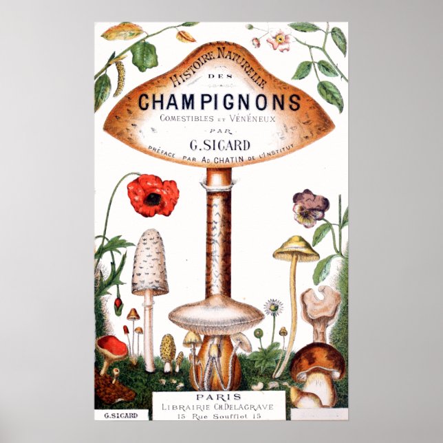 Vintage French Mushrooms Illustration Poster (Front)