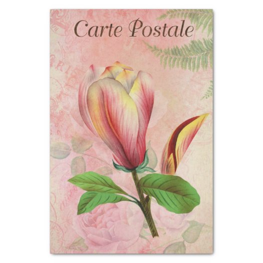 Vintage French Postcard Magnolia Blossom Decoupage