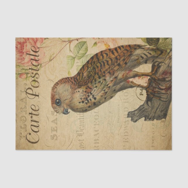 Vintage French Postcard Owl on Branch Decoupage Tissue Paper (Front)