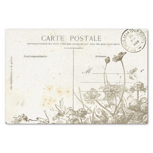 Vintage French Postcard Wildflower Tissue Paper