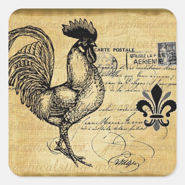 Vintage French Rooster On Burlap Square Sticker (Front)