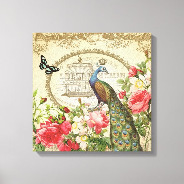 Vintage French Shabby Chic Peacock Canvas Print (Front)