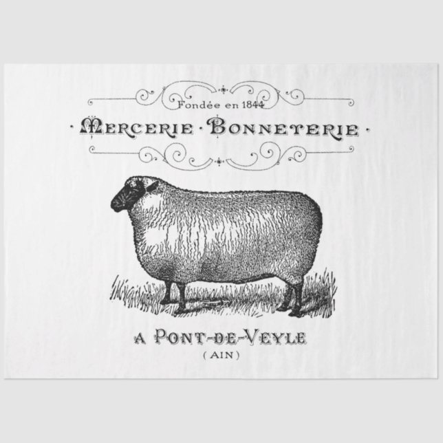 Vintage French Sheep Graphic Tissue Paper (Front)