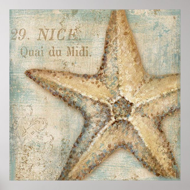 Vintage French Starfish Art Poster (Front)