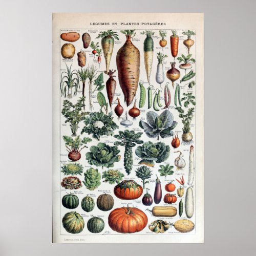 Vintage French Vegetables and Vegetable Plants Poster