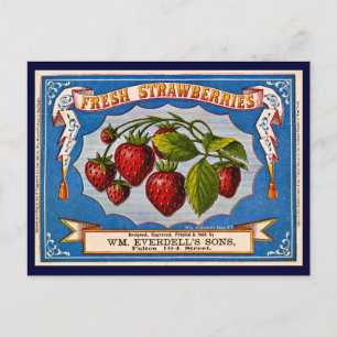 Vintage Fresh Strawberry Ad 1868 Postcard