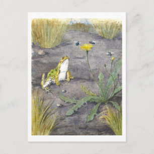 Vintage Frog and Dandelion Postcard