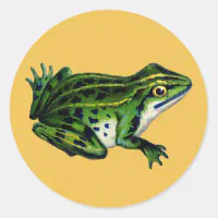 Vintage - Frog in His Finery,, Zazzle