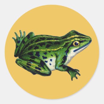 Vintage Frog Illustration Stickers by hiway9 at Zazzle