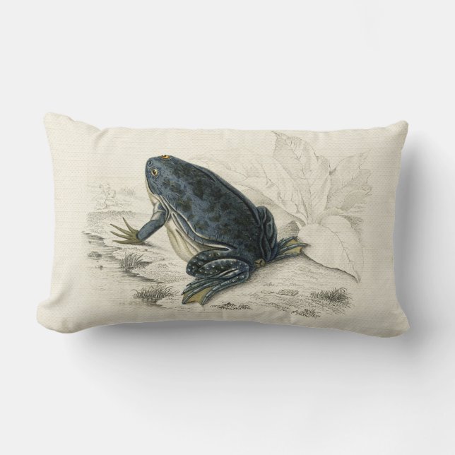 Vintage Frog Lumbar Pillow (Front)