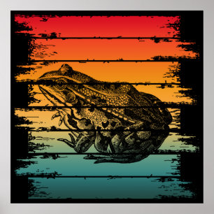 VINTAGE FROG POSTER