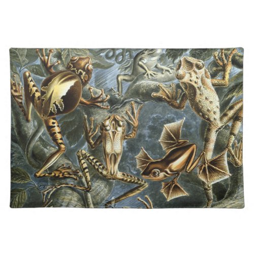 Vintage Frogs and Toads Batrachia by Ernst Haeckel Cloth Placemat