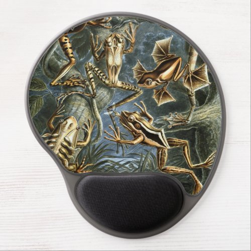 Vintage Frogs and Toads Batrachia by Ernst Haeckel Gel Mouse Pad