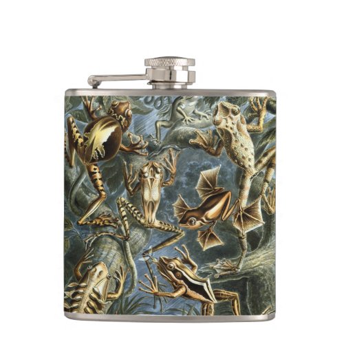 Vintage Frogs and Toads Batrachia by Ernst Haeckel Hip Flask