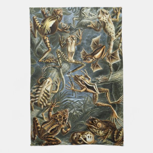 Vintage Frogs and Toads Batrachia by Ernst Haeckel Kitchen Towel