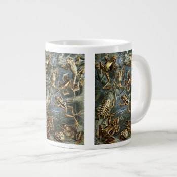 Vintage Frogs And Toads Batrachia By Ernst Haeckel Large Coffee Mug by Ernst_Haeckel_Art at Zazzle