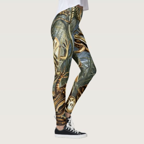 Vintage Frogs and Toads Batrachia by Ernst Haeckel Leggings