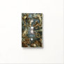 Vintage Frogs and Toads Batrachia by Ernst Haeckel Light Switch Cover