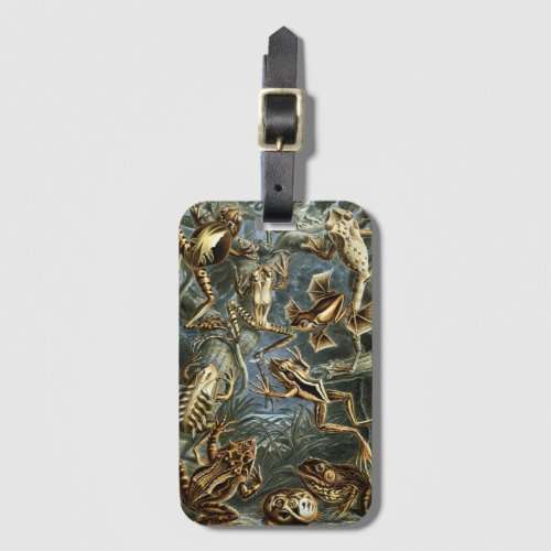 Vintage Frogs and Toads Batrachia by Ernst Haeckel Luggage Tag