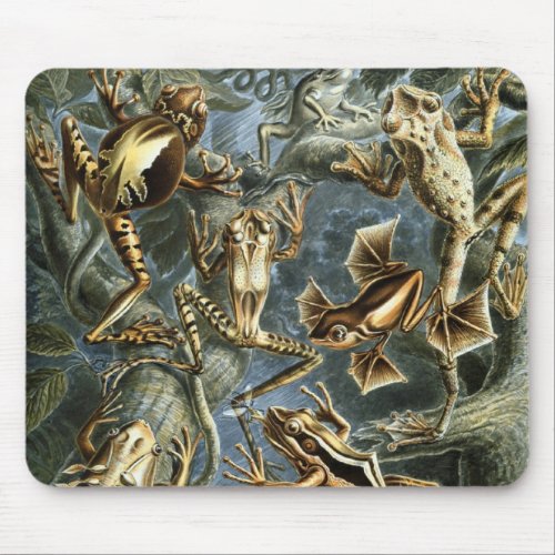 Vintage Frogs and Toads Batrachia by Ernst Haeckel Mouse Pad