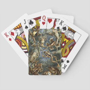 Vintage Frogs and Toads Batrachia by Ernst Haeckel Poker Cards