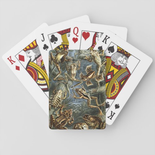 Vintage Frogs and Toads Batrachia by Ernst Haeckel Poker Cards