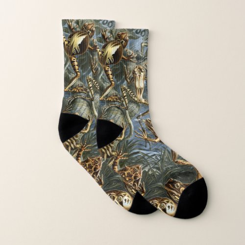 Vintage Frogs and Toads Batrachia by Ernst Haeckel Socks