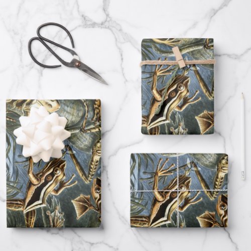 Vintage Frogs and Toads Batrachia by Ernst Haeckel Wrapping Paper Sheets