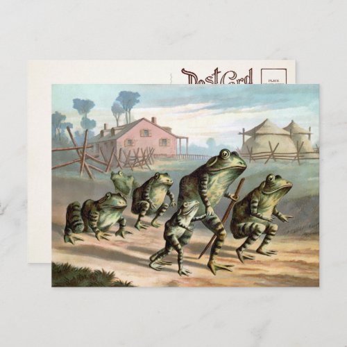 Vintage Frogs Postcard