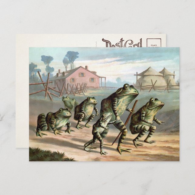 Vintage Frogs Postcard (Front/Back)