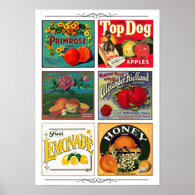 Vintage fruit advertisement labels poster (Front)