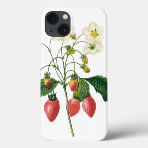 Vintage Fruit Berries Food Strawberries by Redoute iPhone 13 Case