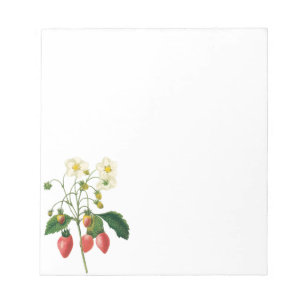Vintage Fruit Berries Food Strawberries by Redoute Notepad
