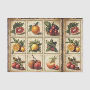 Vintage Fruit Botanical Grid Decoupage Tissue Paper