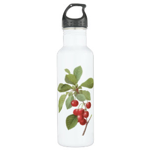 Vintage Fruit Cherry Food, Cherries by Redoute Stainless Steel Water Bottle