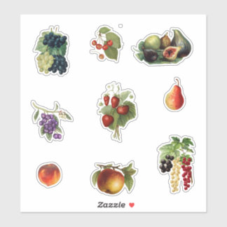 Vintage Fruit Collection Sticker