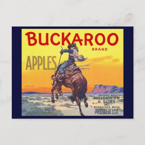 Vintage Fruit Crate Label Art Buckaroo Apples Postcard