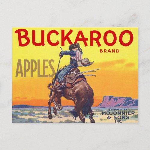 Vintage Fruit Crate Label Art Buckaroo Apples Postcard