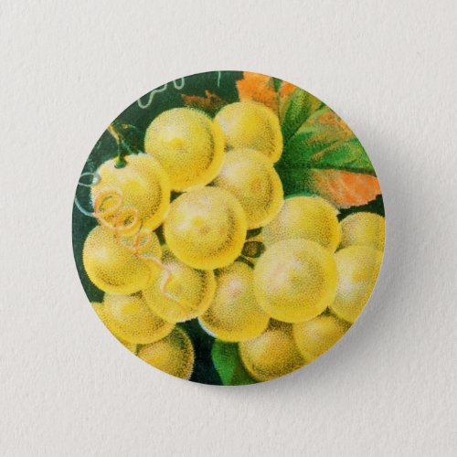Vintage Fruit Crate Label Art Muscat Grapes Pinback Button