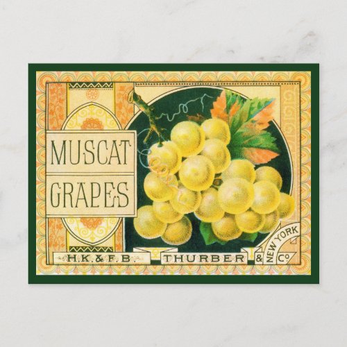 Vintage Fruit Crate Label Art Muscat Grapes Postcard