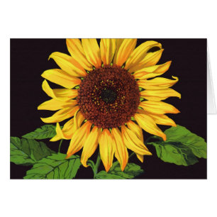 Vintage Fruit Crate Label Art Orangedale Sunflower Cards
