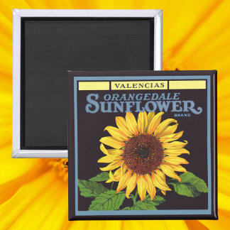 Vintage Fruit Crate Label Art Orangedale Sunflower Magnet