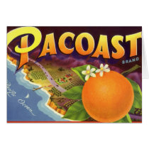 Vintage Fruit Crate Label Art, Pacoast Oranges