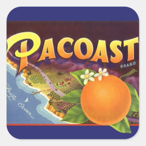 Vintage Fruit Crate Label Art Pacoast Oranges