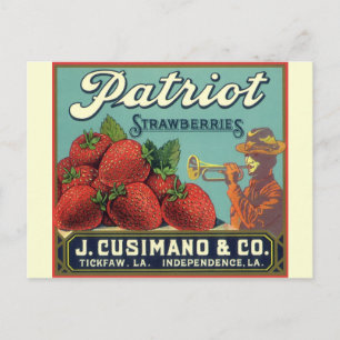 Vintage Fruit Crate Label Art Patriot Strawberries Postcard