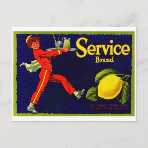 Vintage Fruit Crate Label Postcard